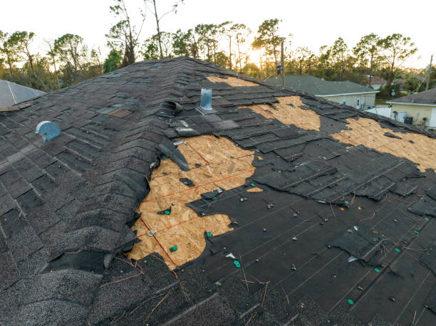 Best Cold Roofs  in Kaibito, AZ